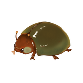 nn41nn
