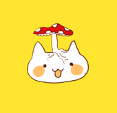 柑橘