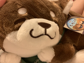 めーぷる