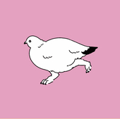 松下リサ