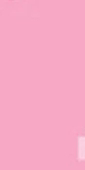 🎀