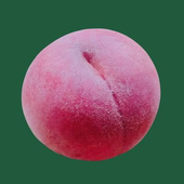 もも