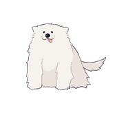 めつこ