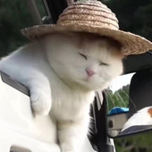 AKito