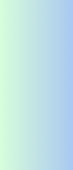 ヒビ