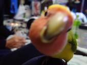 ちぃ