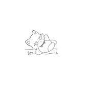 木綿。