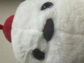 ゆきはなあやめ。　