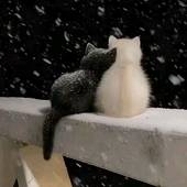 加点糖