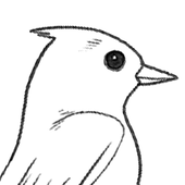 Zorippi