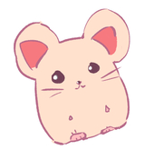 今日もハッピー
