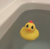 きよ。