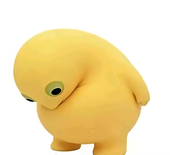 园园圆
