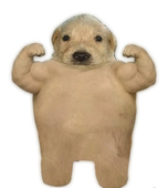 뒤틀림