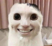칭찬양파