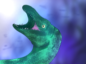 デイノケイルス愛好家