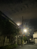 かいせん