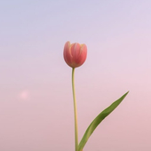 おその
