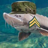 CPL Sturgeon