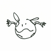 xn