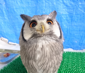 ウイスキ