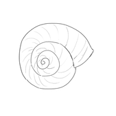 Karamori