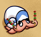 conch