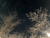 itsuki