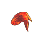 アマカラ