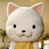 DullNoko