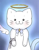 nekomaru_250