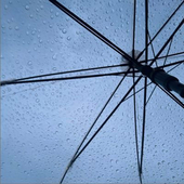 雨
