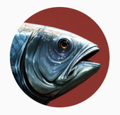 マグロ(🐟Maguro)