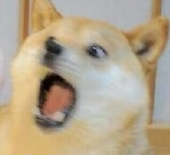 가라부리