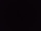 AlexRick